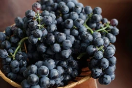 Nho đen. (Nguồn: Healthline)