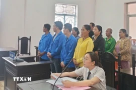 Các bị cáo tại phiên tòa. (Ảnh: TTXVN phát)