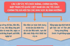 Chỉ đạo của Thường trực Ban Bí thư về việc ứng phó với bão số 9