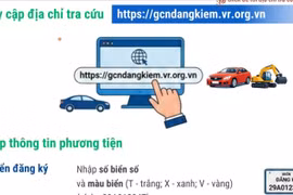Hướng dẫn cách tra cứu giấy chứng nhận kiểm định điện tử 