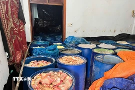 Hàng trăm kg da heo đã bốc mùi hôi thối bị lực lượng chức năng bắt giữ. (Ảnh: Nhật Minh/TTXVN)