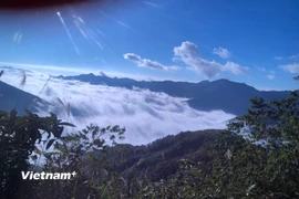 Tà Xùa quanh năm được bao bọc trong những dải mây mù, nên đến đây vào bất kỳ thời điểm nào cũng đẹp. (Ảnh; Hồng Hạnh/Vietnam+)