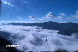 Thiên đường mây Tà Xùa. (Ảnh: Hồng Hạnh/Vietnam+)