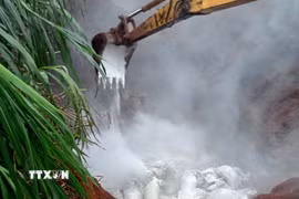 Tiêu hủy lợn nhiễm dịch tả châu Phi tại xã Đức An, tỉnh Lâm Đồng. (Ảnh: TTXVN phát)