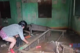 Đắk Lắk: Phường Đông Hòa thiệt hại nặng nề do mưa lũ 