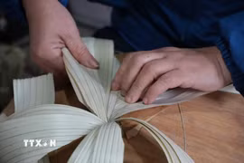 Nghề làm nón ở Sai Nga (tỉnh Phú Thọ) đòi hỏi sự khéo léo, tỉ mẩn. (Ảnh: Nguyễn Thảo/TTXVN)