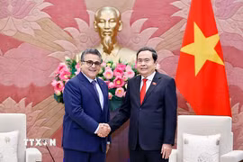 Chủ tịch Quốc hội Trần Thanh Mẫn tiếp Đại sứ đặc mệnh toàn quyền Nhà nước Palestine tại Việt Nam Saadi Salama. (Ảnh: Doãn Tấn/TTXVN)
