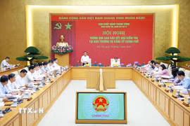 Hội nghị thông qua báo cáo kết quả kiểm tra tại Ban Thường vụ Đảng ủy Chính phủ. (Ảnh: Dương Giang/TTXVN)
