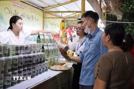 Giới thiệu sản phẩm OCOP tại hội chợ. (Ảnh: Mạnh Minh/TTXVN)