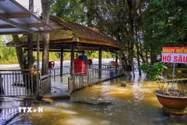 Dù thường xuyên bị ảnh hưởng khi hồ Dầu Tiếng vận hành xả lũ nhiều hộ dân vẫn duy trì hoạt động kinh doanh do lợi ích trước mắt. (Ảnh: Minh Phú/TTXVN)