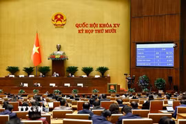 Quốc hội biểu quyết thông qua Luật Dẫn độ. (Ảnh: Doãn Tấn/TTXVN)
