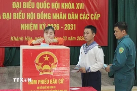 Cử tri đặc khu Trường Sa bỏ phiếu bầu đại biểu Quốc hội khóa XVI và Hội đồng Nhân dân các cấp nhiệm kỳ 2026-2031. (Ảnh: TTXVN phát)