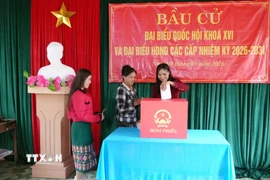 Đồng bào Bru-Vân Kiều bản Nước Đắng hân hoan bầu đại biểu Quốc hội và Hội đồng Nhân dân các cấp nhiệm kỳ 2026-2031. (Ảnh: Tá Chuyên/TTXVN)