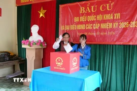 Già làng, người có uy tín Hồ Văn Xi và em Hồ Thị Thiều (cử tri lần đầu tiên đi bỏ phiếu) bỏ phiếu bầu đại biểu Quốc hội khóa XVI và đại biểu Hội đồng nhân dân các cấp nhiệm kỳ 2026-2031. (Ảnh: Tá Chuyên/TTXVN)