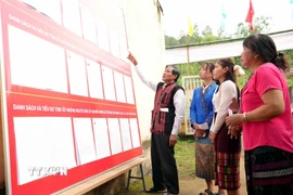 Cử tri Bru-Vân Kiều nghiên cứu danh sách ứng cử viên được niêm yết tại khu vực bỏ phiếu bản Nước Đắng, xã Trường Sơn (Quảng Trị). (Ảnh: Tá Chuyên/TTXVN)