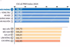 PAR INDEX 2024: Hải Phòng đứng đầu bảng xếp hạng 