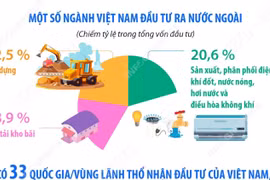 Đầu tư của Việt Nam ra nước ngoài trong 5 tháng năm 2026 đạt 794,6 triệu USD