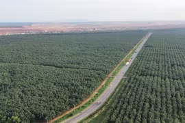 Đường 769 đoạn qua sân bay Long Thành, dự kiến sẽ khởi công nâng cấp, mở rộng vào cuối tháng 6/2026. (Ảnh: Công Phong/TTXVN)