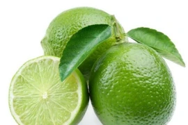 Trào lưu uống nước chanh chữa bệnh: Cách dùng chanh như thế nào là tốt nhất cho sức khỏe?