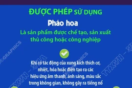 Người dân được sử dụng loại pháo nào trong dịp Tết Nguyên đán? 