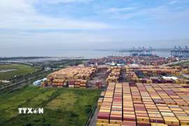 Hệ thống cảng hiện hữu trên sông Thị Vải-Cái Mép và một phần đất trống sau cảng quy hoạch làm Khu thương mại tự do Cái Mép Hạ nhìn thẳng ra vịnh Gành Rái. (Ảnh: Đoàn Mạnh Dương/TTXVN)