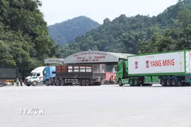 Phương tiện chở nông sản ra vào khu vực bến bãi cửa khẩu Tân Thanh, tỉnh Lạng Sơn. (Ảnh: Quang Duy/TTXVN)