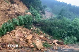 Hàng trăm khối đất đá và cây cối sạt lở tại Km 24 trên quốc lộ 70, đoạn qua xã Văn Lang, tỉnh Phú Thọ, gây cản trở giao thông. (Ảnh: TTXXN phát)