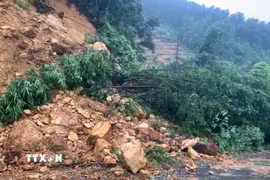 Hàng trăm khối đất đá và cây cối sạt lở tại Km 24 trên quốc lộ 70, đoạn qua xã Văn Lang, tỉnh Phú Thọ, gây cản trở giao thông. (Ảnh: TTXXN phát)