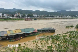 Nước lũ dâng cao làm ngập sâu khu vực bãi bồi ven sông. (Ảnh: Hương Thu/TTXVN)