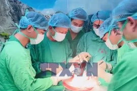 6 tuần, 5 lá phổi mới: Kỳ tích hồi sinh sự sống 