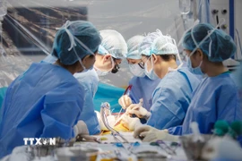 Các bác sỹ Bệnh viện Quân y 175 thực hiện ghép gan cấp cứu cứu sống bệnh nhân suy gan cấp hôn mê 4 ngày. (Ảnh: TTXVN phát)