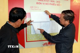 Người dân thôn Thanh Lịch, xã Ý Yên (Ninh Bình) tra cứu danh sách cử tri. (Ảnh: Nguyễn Lành/TTXVN)