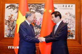 Tổng Bí thư, Chủ tịch nước Tô Lâm hội kiến Chủ tịch Chính hiệp toàn quốc Trung Quốc Vương Hộ Ninh. (Ảnh: Thống Nhất/TTXVN)