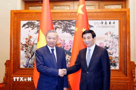 Tổng Bí thư, Chủ tịch nước Tô Lâm hội kiến Chủ tịch Chính hiệp toàn quốc Trung Quốc Vương Hộ Ninh. (Ảnh: Thống Nhất/TTXVN)
