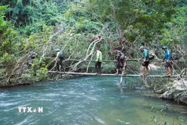 Đoàn tuần tra, bảo vệ rừng di chuyển trên cầu khỉ chênh vênh bắc qua dòng Khe Cố có dòng chảy mạnh, màu nước xanh biếc. (Ảnh: Xuân Tiến/TTXVN)