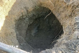 Hiện trường cá thể voi con bị chết sau khi rơi xuống giếng sâu. (Ảnh: TTXVN phát)