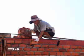 Tranh thủ thời tiết thuận lợi, thợ xây nỗ lực xây dựng để hoàn thành nhà theo kế hoạch. (Ảnh: Đinh Hương/ TTXVN)