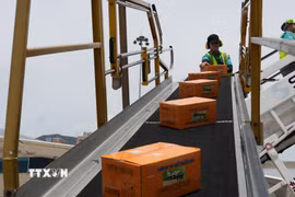 Vận chuyển hàng cứu trợ từ máy bay xuống sân bay quốc tế ở thủ đô Caracas. (Ảnh: Phi Hùng/TTXVN)