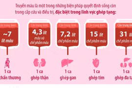 Ngày Quốc tế Người hiến máu: Giọt máu tình người - Hiến máu đào, trao sự sống 