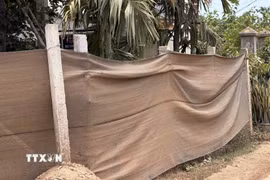 Vì quá bụi, người dân phải “khẩu trang” bằng lưới cho hàng rào nhà. (Ảnh: Cao Nguyên/TTXVN)