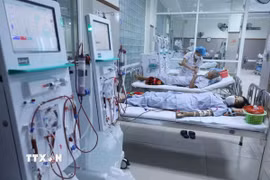 Suy thận là một trong những biến chứng nguy hiểm của bệnh tiểu đường. (Nguồn: TTXVN)