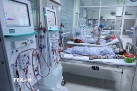 Suy thận là một trong những biến chứng nguy hiểm của bệnh tiểu đường. (Nguồn: TTXVN)