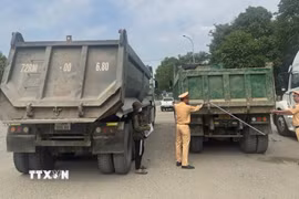 Lực lượng chức năng tổng rà soát hơn 6.400 xe tải tự đổ, siết chặt an toàn giao thông trên địa bàn Thành phố Hồ Chí Minh. (Ảnh: TTXVN phát)