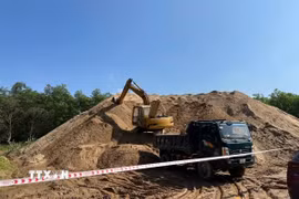 Lực lượng chức năng phong tỏa, tịch thu số lượng cát khai thác trái phép. (Ảnh: TTXVN phát)