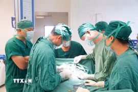 Các bác sỹ Bệnh viện Bình Định phẫu thuật thành công ca bệnh hiếm gặp ở trẻ 2,5 tháng tuổi. (Ảnh: TTXVN phát)