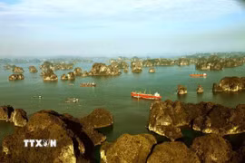 Vịnh Bái Tử Long với hàng nghìn hòn đảo lớn, nhỏ trong sắc xanh của biển, sắc vàng của nắng tạo nên khung cảnh "sơn thủy hữu tình" đầy kỳ thú. (Ảnh: Phạm Hậu/TTXVN)