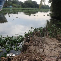 Một số các điểm sạt lở trên kênh Dương Văn Dương. (Ảnh: Đức Hạnh/TTXVN)