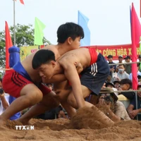 Hội vật là dịp để thanh niên rèn luyện sức khỏe, hun đúc ý chí và giữ gìn truyền thống cha ông để lại. (Ảnh: Mai Trang/TTXVN)