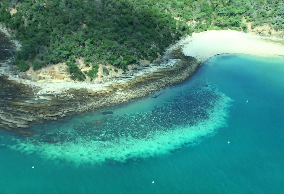 Rạn san hô Great Barrier ở Australia bị tẩy trắng nghiêm trọng. (Ảnh: AFP/TTXVN)