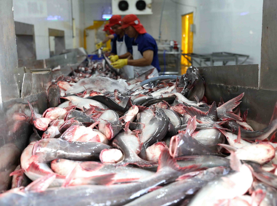 Một số mặt hàng của Việt Nam được xuất khẩu sang Chile như thủy sản, cà phê, đồ gỗ, hàng dệt may, giầy dép, xơ sợi... (Ảnh: Vũ Sinh/TTXVN)